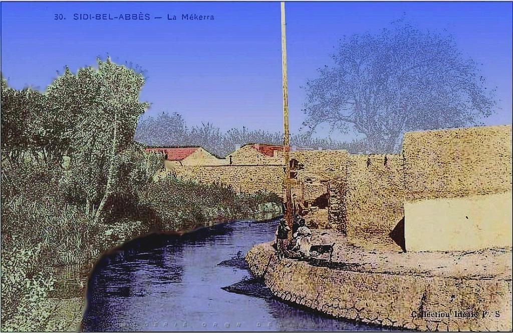 Sidi-bel-abbes 173.jpg